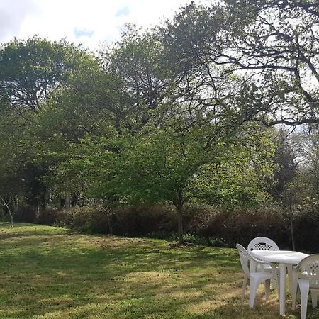 Vila Casa De Corbelle Muimenta Exteriér fotografie